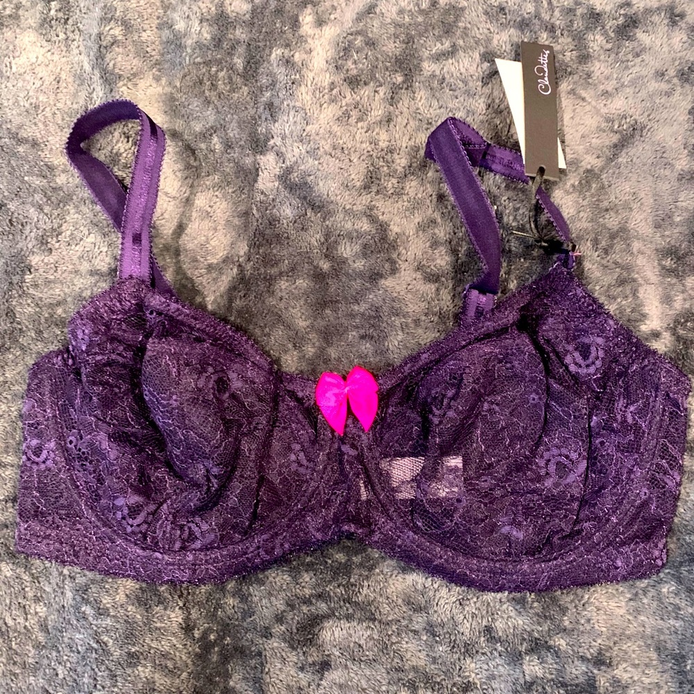 Claudette Darling Lace and Fishnet Bra